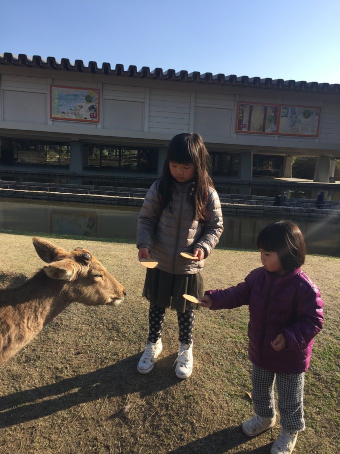 16年,关西(大阪,奈良,京都,宇治)樱花,甲子园
