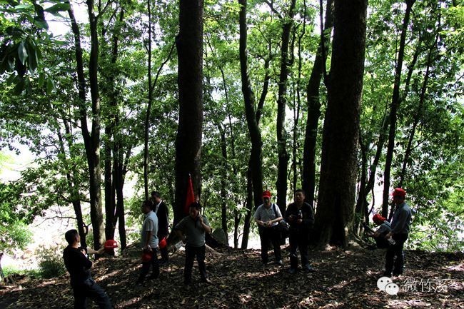 微景观提升群众幸福感,竹溪居住好地段