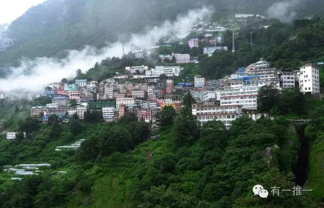 樟木名称的由来,樟木的优势