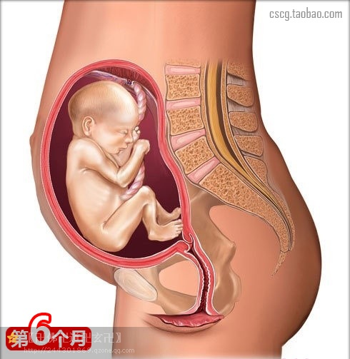 受益匪浅新手爸妈必读