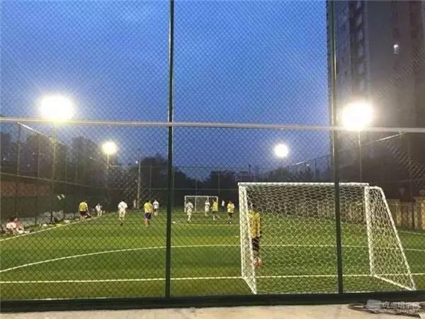 欧洲杯足球在哪里踢得好,2024年欧洲杯足球场一览表最新版