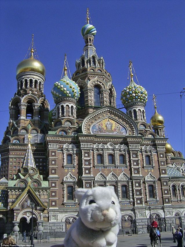 男子携带玩偶兔旅行20多国你想携带什么？