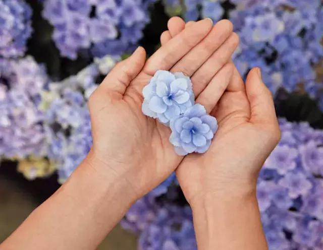 日本姑娘长什么样,想象中的日本是这样的吗