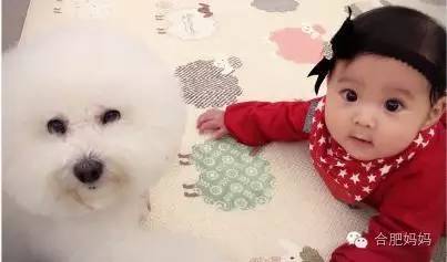 贾静雯瘦身历程,贾静雯做产后修复