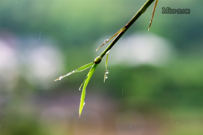 在这座神山中，我们每个人都是武林高手