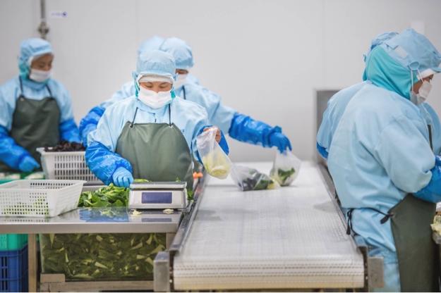 优粮科技：不执迷于烧钱，外卖O2O的未来在服务型平台