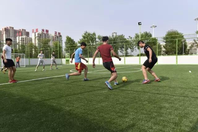 威海文登鸟巢体育馆,文登露天体育馆