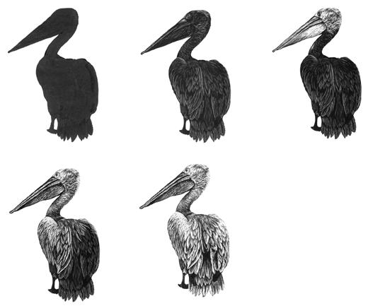 国外程序员开发使用什么工具软件,国外程序员的社交软件