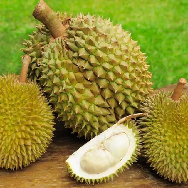 有哪些食物比臭豆腐还臭,哪些食物比臭豆腐还难吃