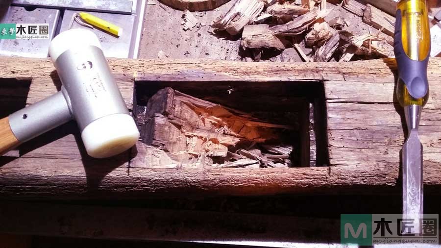 圆树桩小夜灯,树桩小夜灯