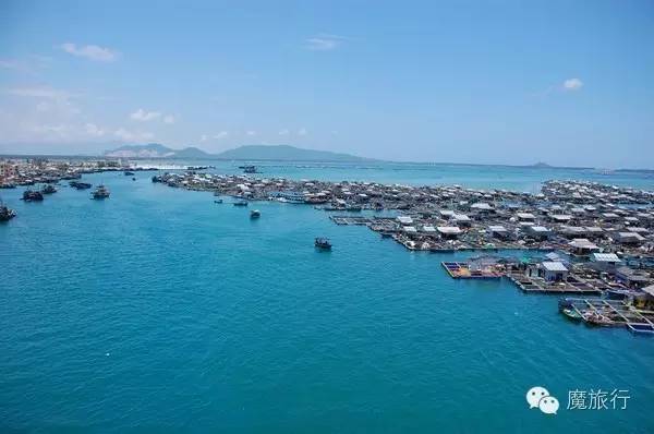 海南的海岛旅游南湾猴岛,推荐一个好地方南湾猴岛