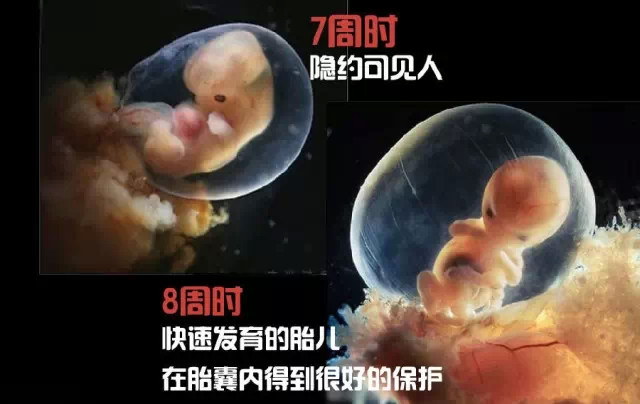 造人计划之前需要做的事,造人计划必须做的事