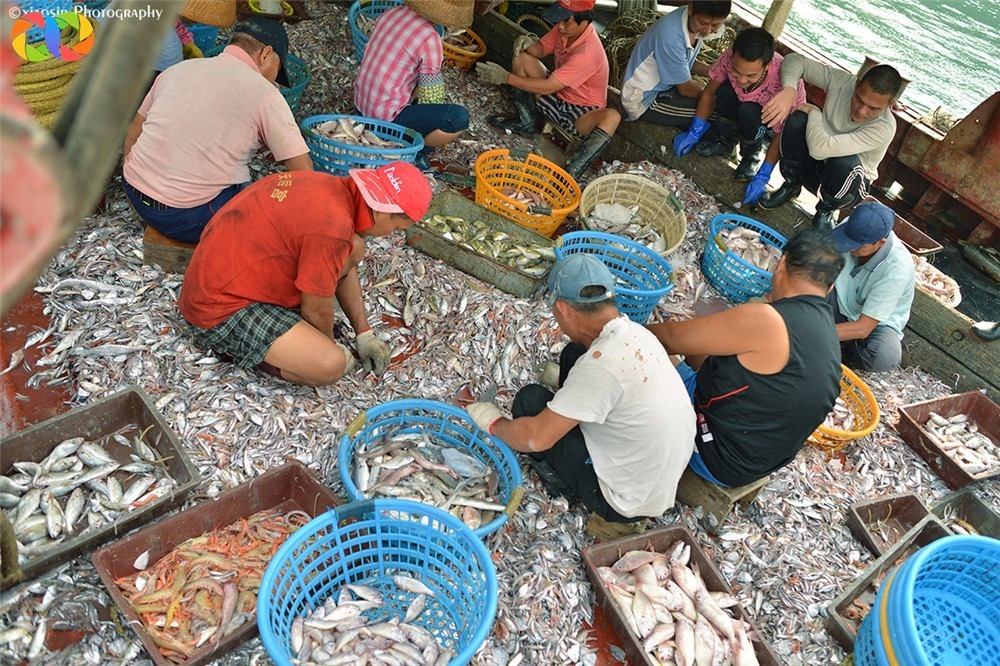 珠海海边沙滩哪里好玩可以烧烤,珠海哪些海边可以自驾烧烤露营