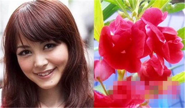 农村用的染发剂,农村院子里最常见的植物