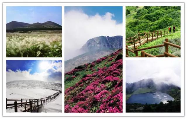 夏天去济州岛要花多少钱,济州岛攻略去北方小岛踏青吧