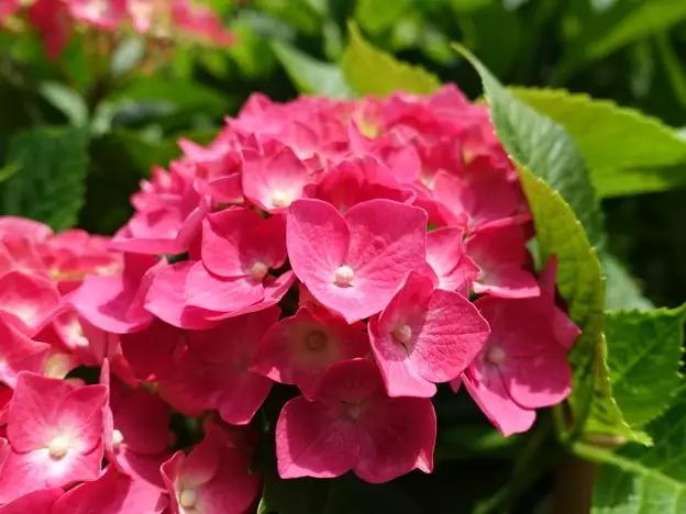 现在的日本是什么样的,现在的日本广岛什么样子