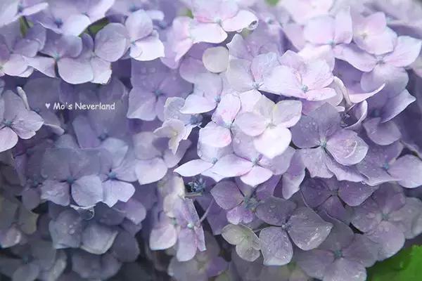 现在的日本是什么样的,现在的日本广岛什么样子