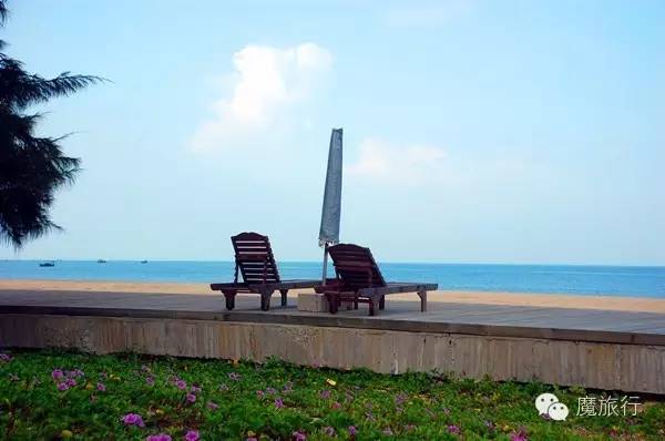 海南的海岛旅游南湾猴岛,推荐一个好地方南湾猴岛