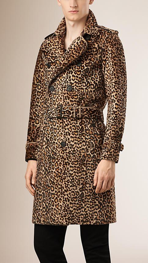 高级感小众雨具 (时尚雨具单品欣赏)