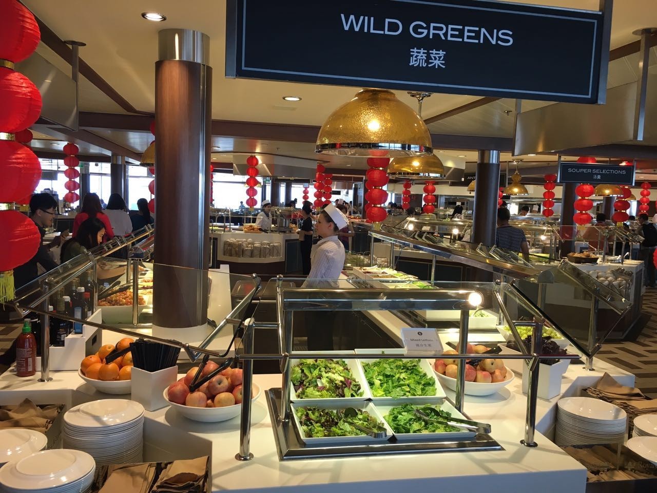 天津港出发的邮轮旅行攻略,天津出发豪华邮轮攻略