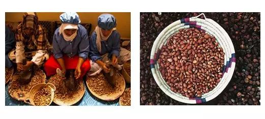 摩洛哥跟摩洛哥精油,摩洛哥精油推荐第一名