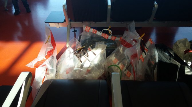 济州岛玩包车还是租车好,说走就走的韩国旅游