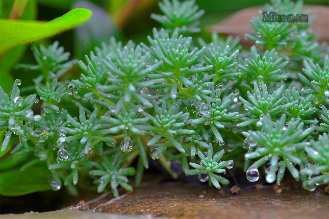 在这座神山中，我们每个人都是武林高手