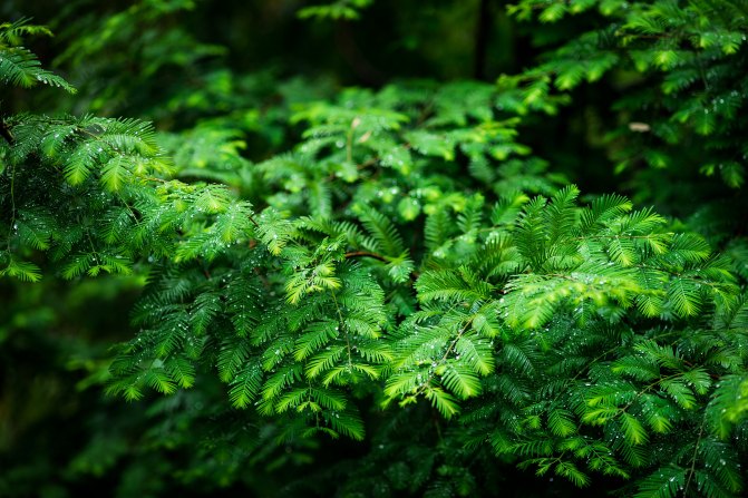 在这座神山中，我们每个人都是武林高手