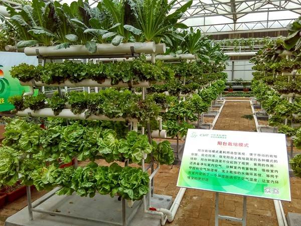 带上小蚁运动相机游潍坊（三）寿光菜博会