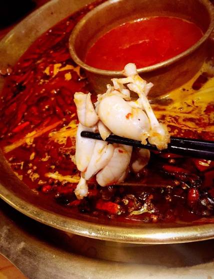 魔都25家排队餐厅大盘点,魔都45家重磅新店开业先一睹为快