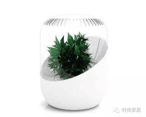 螨虫真的无所不在,螨虫防治小常识