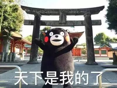 一只有钱的熊生赢家！