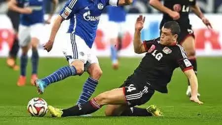 高手必看的十大技巧,高手都看哪些指标