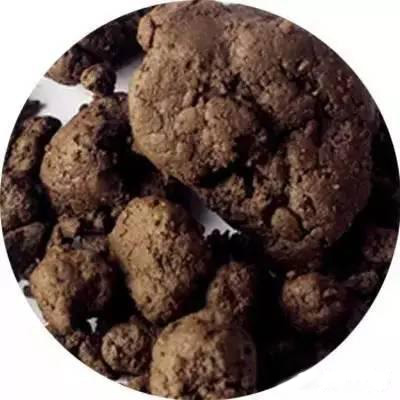 西部风狂钓鲫如何制作窝料,民间高手钓鲫鱼饵料配方