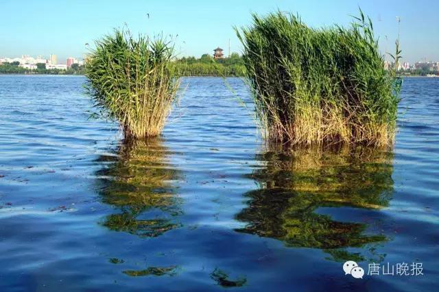 唐山最美风景图片大全,唐山画廊在哪里