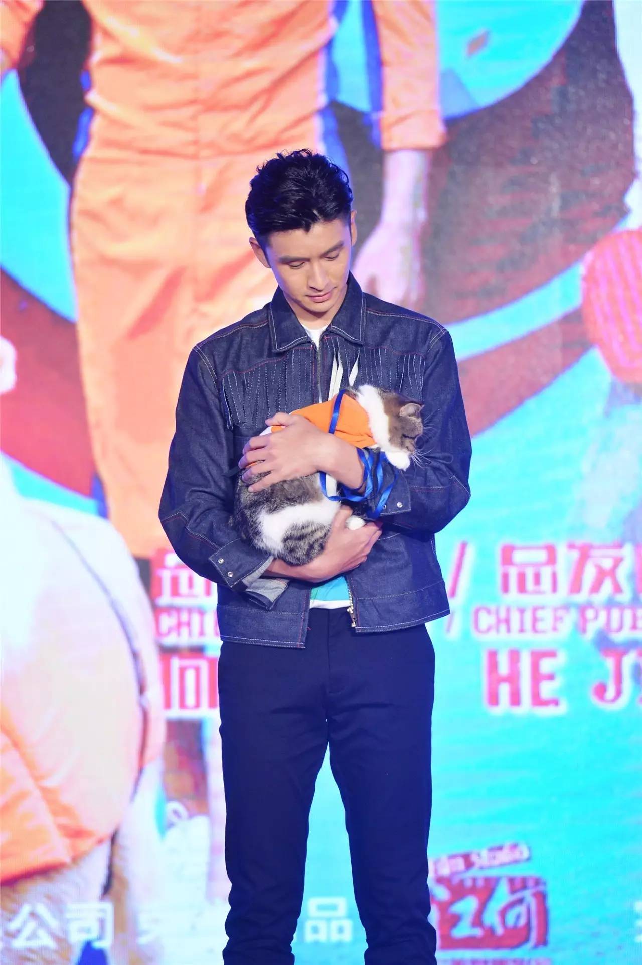 神犬小七2和麻辣变形计相同演员,神犬小七2麻辣变形计