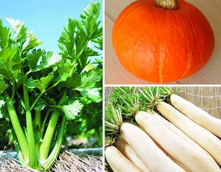 痘痘补充什么维生素,痘痘反复长不停用什么精华