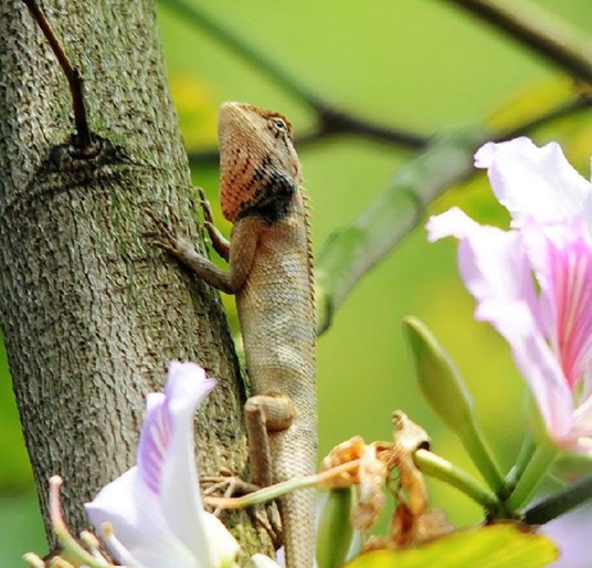 极品美味，就差瞟一眼，么么哒