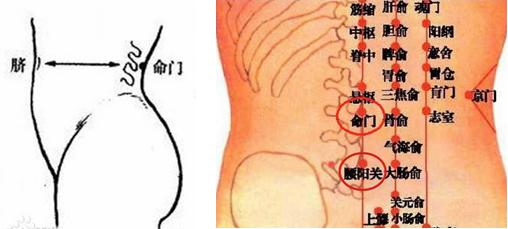 西苑中医院除湿贴,西苑医院艾灸贴