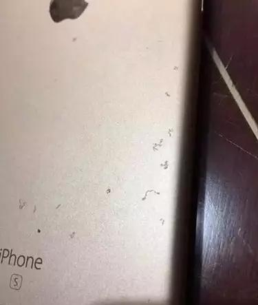 苹果6s氧化效果怎么样,苹果6s氧化官方给换么