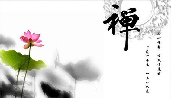 禅悟一花一世界一树一菩提,禅悟人生一花一世界一叶一菩提