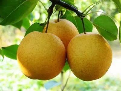 治疗夏季感冒,夏季感冒如何自愈