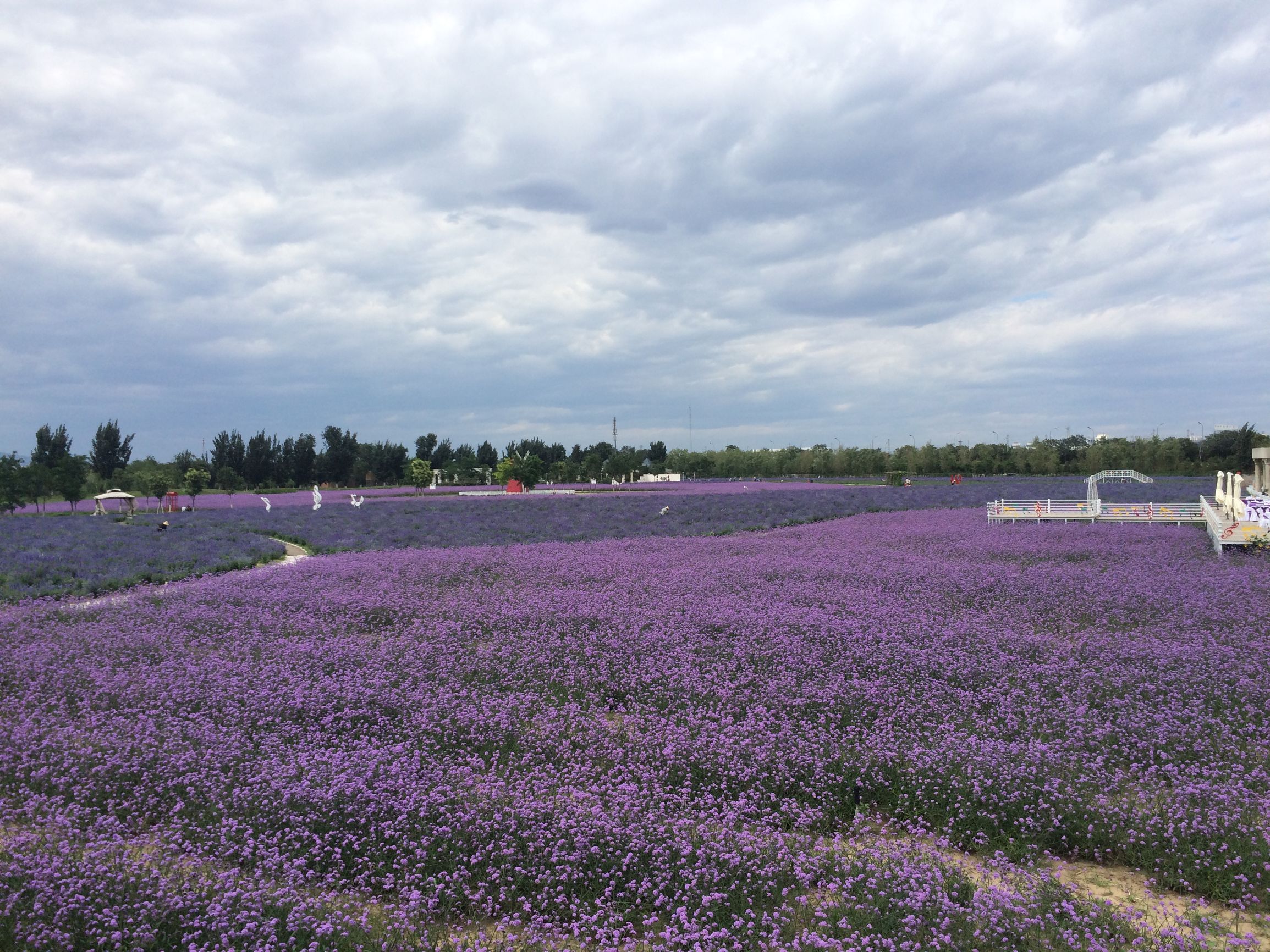 暑假去哪儿便宜,暑假找谁去北京玩