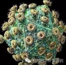 中医治疗转氨酶高,转氨酶高需要治疗吗