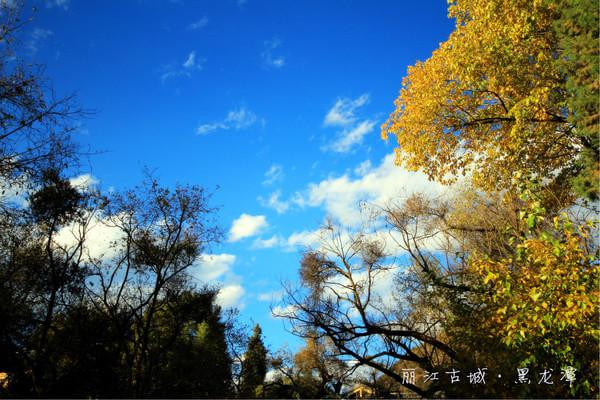 人生若只如初见在广州,人生若只如初见云南