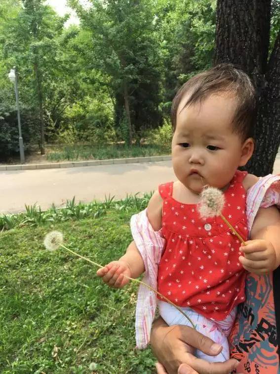 顺义后沙峪镇,顺义区后沙峪村