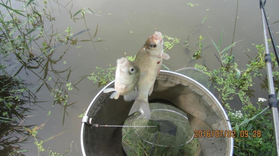 野河垂钓遇见桥洞,野河钓鱼惊喜