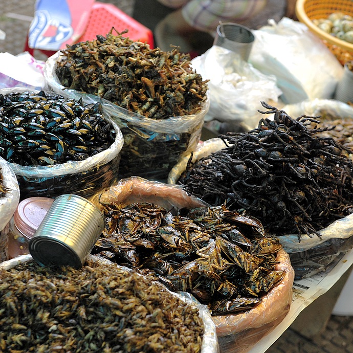 柬埔寨浙江台州小吃 (柬埔寨街边小吃摊位)