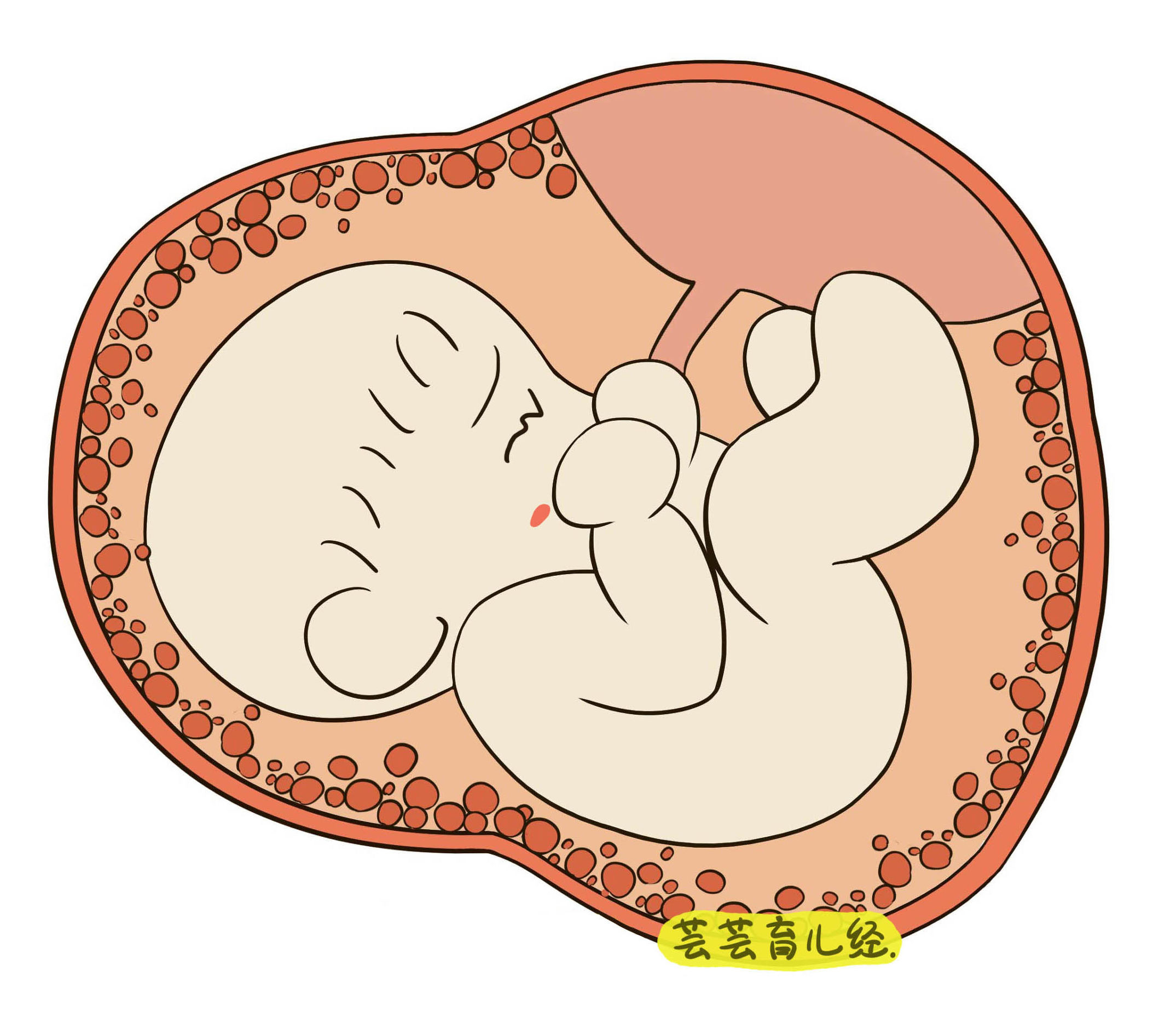 这三件事准妈妈千万不要做,准妈妈出现6大症状别忽视