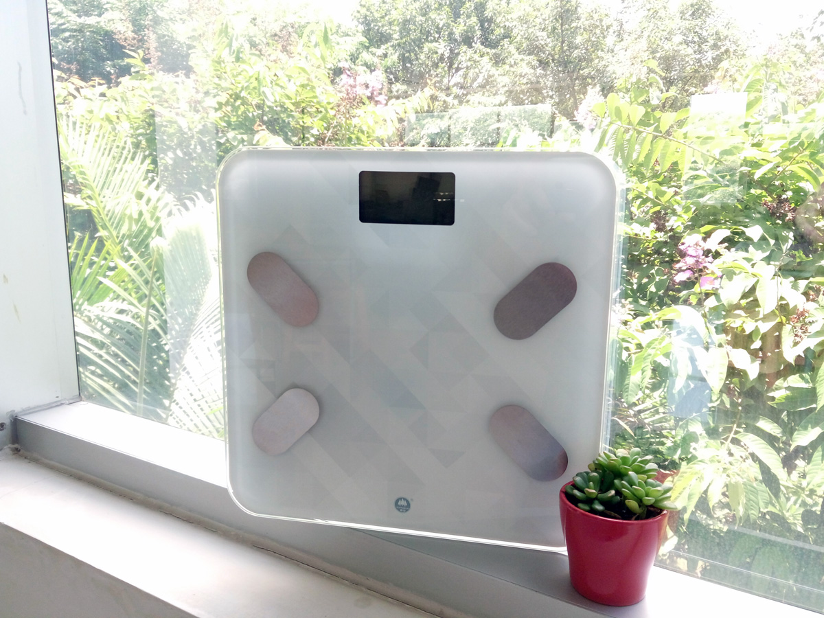 香山健康体脂秤,香山家庭用智能体脂秤